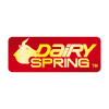 DAIRY spring